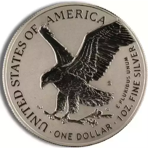 2021 Silver American Eagle 2-Coin Designer Reverse Proof Set (w/Box & COA)
 (5)