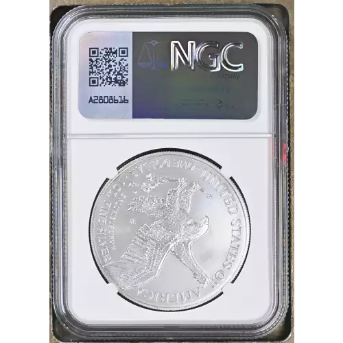 2021 W Eagle Landing T-2 Burnished Silver Eagle (3)