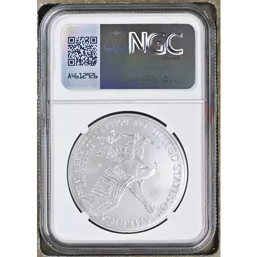 2021 W Eagle Landing T-2 Burnished Silver Eagle (3)