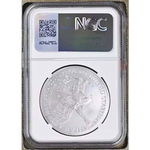 2021 W Eagle Landing T-2 Burnished Silver Eagle (3)