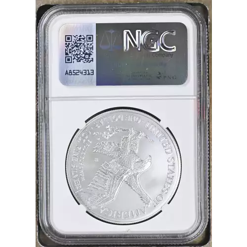 2021 W Eagle Landing T-2 Burnished Silver Eagle (3)