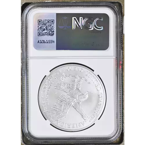 2021 W Eagle Landing T-2 Burnished Silver Eagle (3)