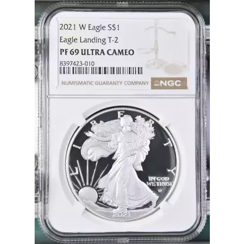 2021 W Eagle Landing T-2 ULTRA CAMEO (2)