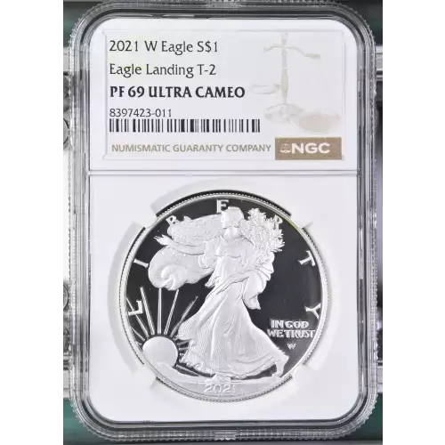 2021 W Eagle Landing T-2 ULTRA CAMEO (2)