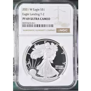 2021 W Eagle Landing T-2 ULTRA CAMEO (2)