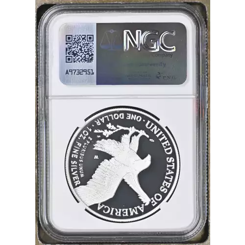 2021 W Eagle Landing T-2 ULTRA CAMEO (3)