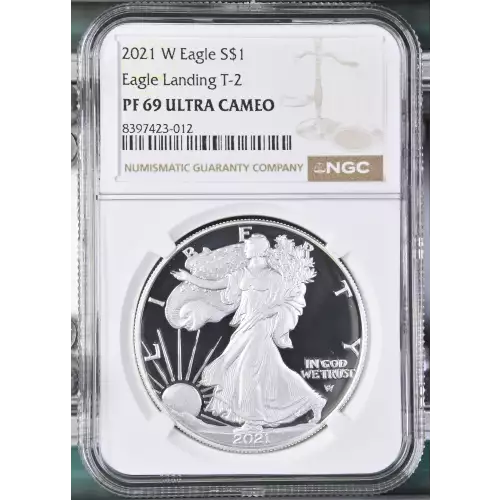 2021 W Eagle Landing T-2 ULTRA CAMEO (2)
