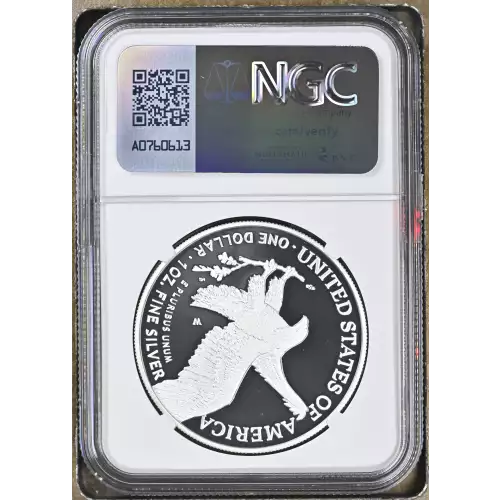 2021 W Eagle Landing T-2 ULTRA CAMEO (3)