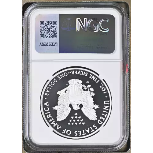 2021 W Heraldic Eagle T-1 ULTRA CAMEO (3)
