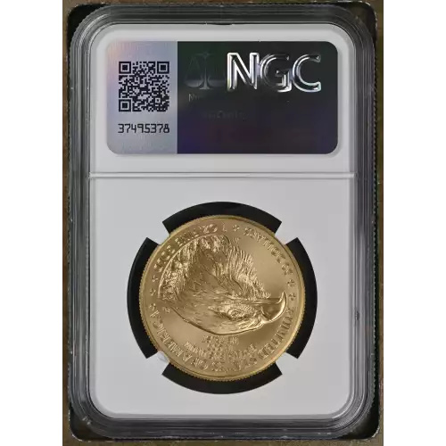 2022 W Burnished Gold Eagle (3)