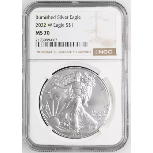 2022 W Burnished Silver Eagle (2)