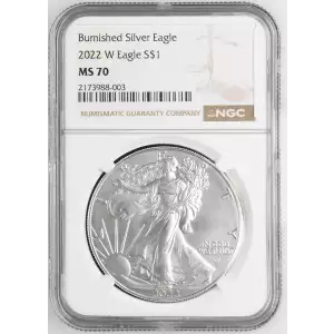 2022 W Burnished Silver Eagle (2)