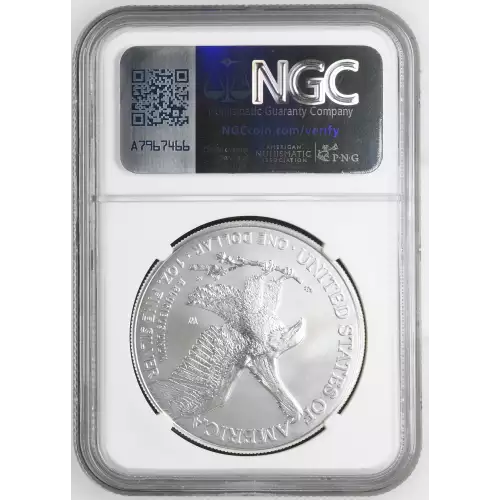 2022 W Burnished Silver Eagle (3)