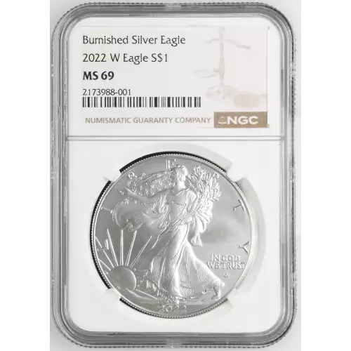 2022 W Burnished Silver Eagle (2)