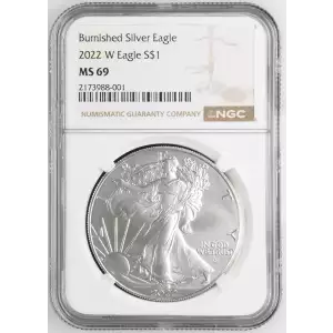 2022 W Burnished Silver Eagle (2)