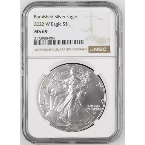 2022 W Burnished Silver Eagle (2)