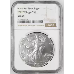 2022 W Burnished Silver Eagle (2)