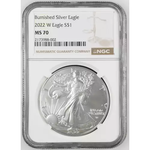 2022 W Burnished Silver Eagle (2)
