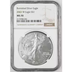 2022 W Burnished Silver Eagle (2)