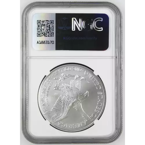 2022 W Burnished Silver Eagle (3)
