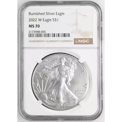 2022 W Burnished Silver Eagle (2)
