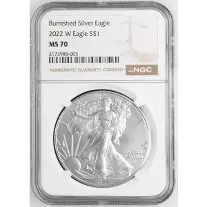 2022 W Burnished Silver Eagle (2)