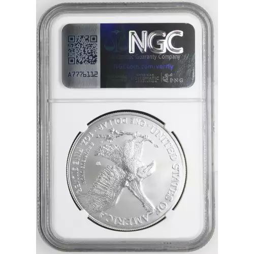 2022 W Burnished Silver Eagle (3)