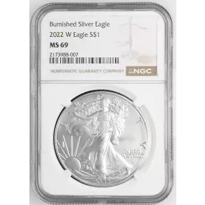 2022 W Burnished Silver Eagle (2)