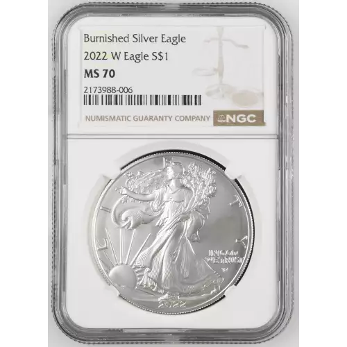 2022 W Burnished Silver Eagle (2)