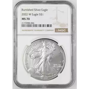 2022 W Burnished Silver Eagle (2)