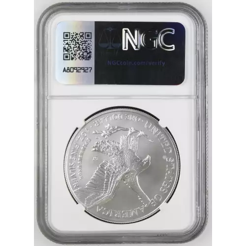 2022 W Burnished Silver Eagle (3)