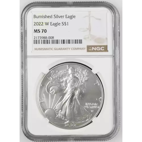 2022 W Burnished Silver Eagle (2)