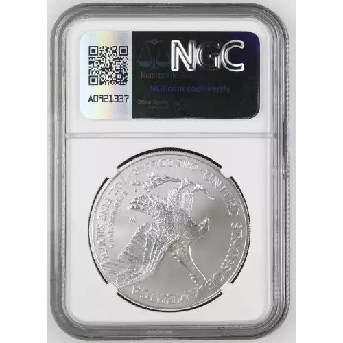 2022 W Burnished Silver Eagle (3)