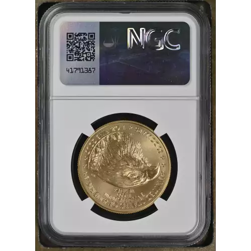 2023 W Burnished Gold Eagle (3)