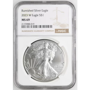2023 W Burnished Silver Eagle (2)