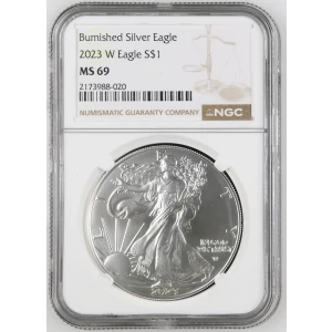 2023 W Burnished Silver Eagle (2)