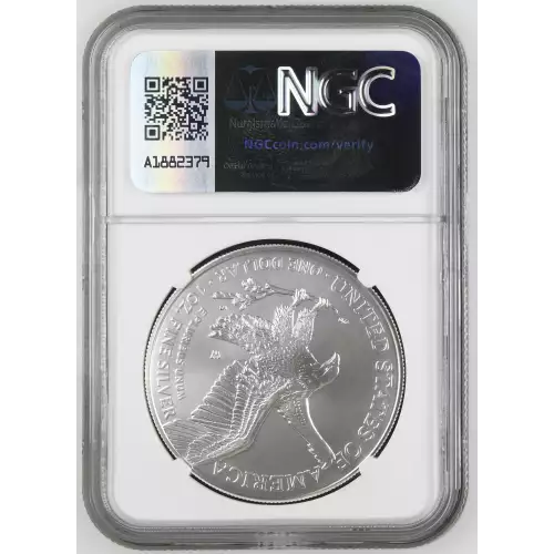 2023 W Burnished Silver Eagle (3)