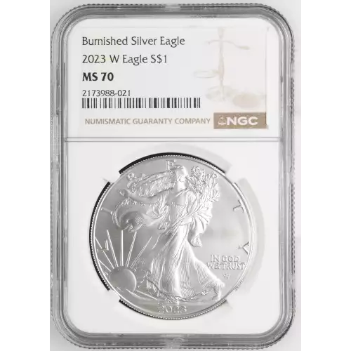 2023 W Burnished Silver Eagle (2)