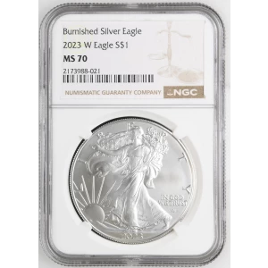 2023 W Burnished Silver Eagle (2)