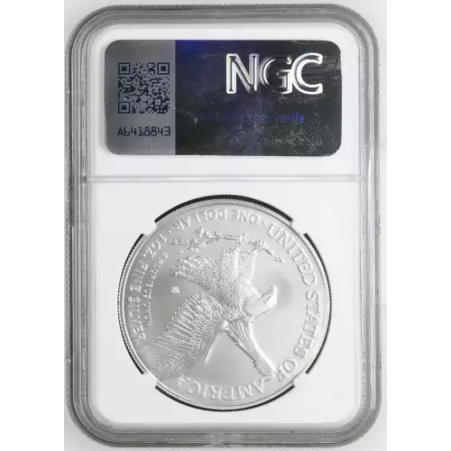 2023 W Burnished Silver Eagle (3)