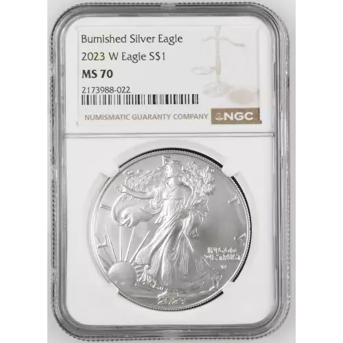 2023 W Burnished Silver Eagle (2)