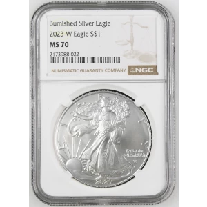2023 W Burnished Silver Eagle (2)