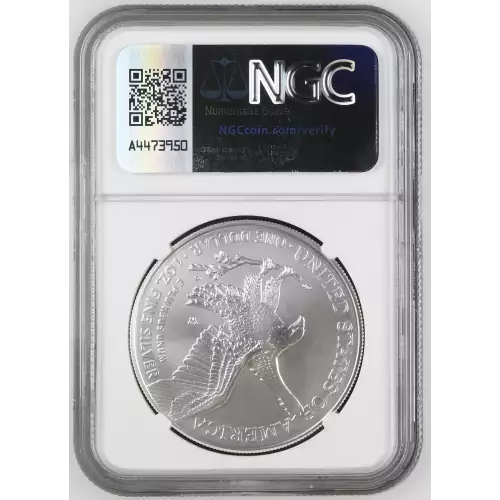 2023 W Burnished Silver Eagle (3)