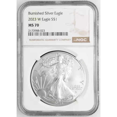 2023 W Burnished Silver Eagle (2)