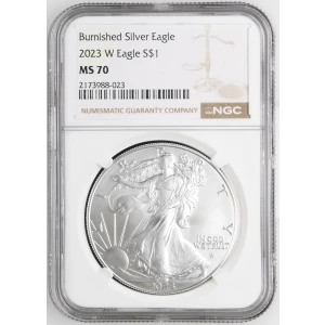 2023 W Burnished Silver Eagle (2)
