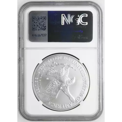 2023 W Burnished Silver Eagle (3)