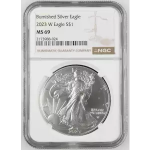 2023 W Burnished Silver Eagle (2)