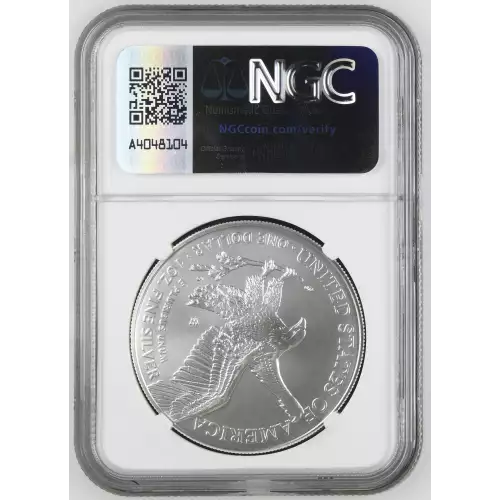 2023 W Burnished Silver Eagle (3)