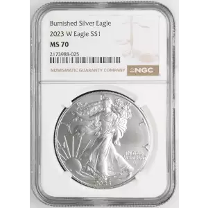 2023 W Burnished Silver Eagle (2)