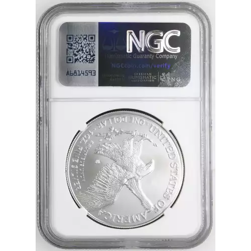 2023 W Burnished Silver Eagle (3)